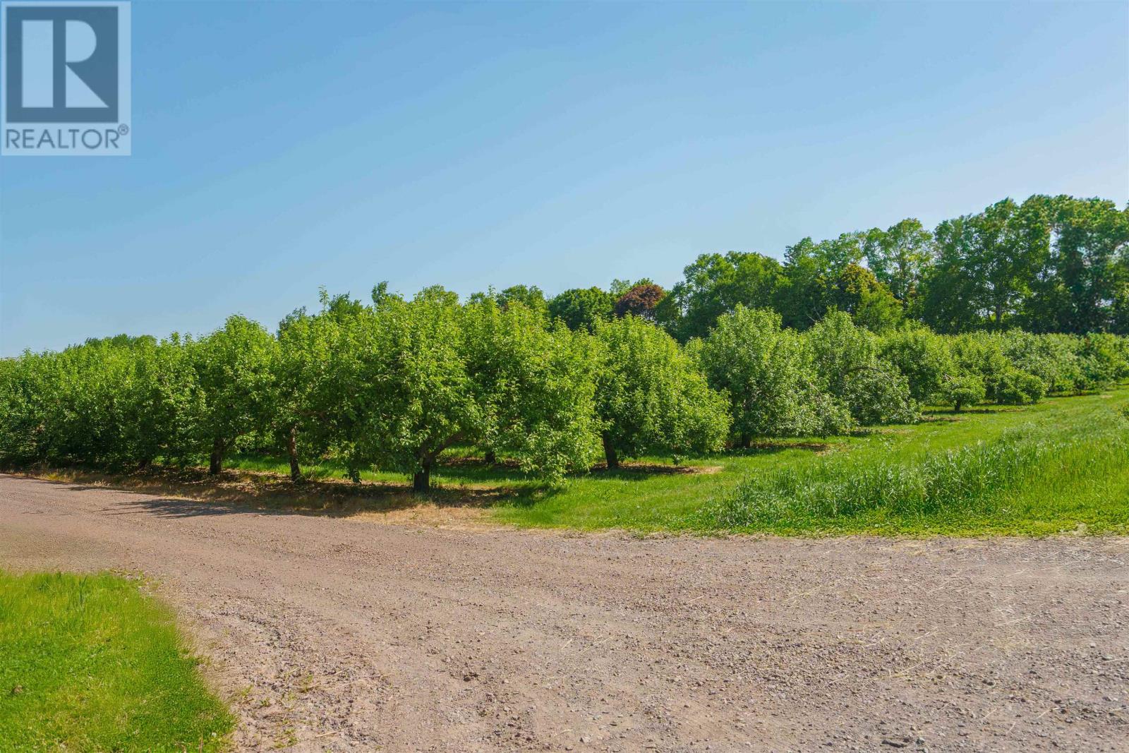 513 Rte 17, Lower Montague, Prince Edward Island  C0A 1R0 - Photo 8 - 202515262