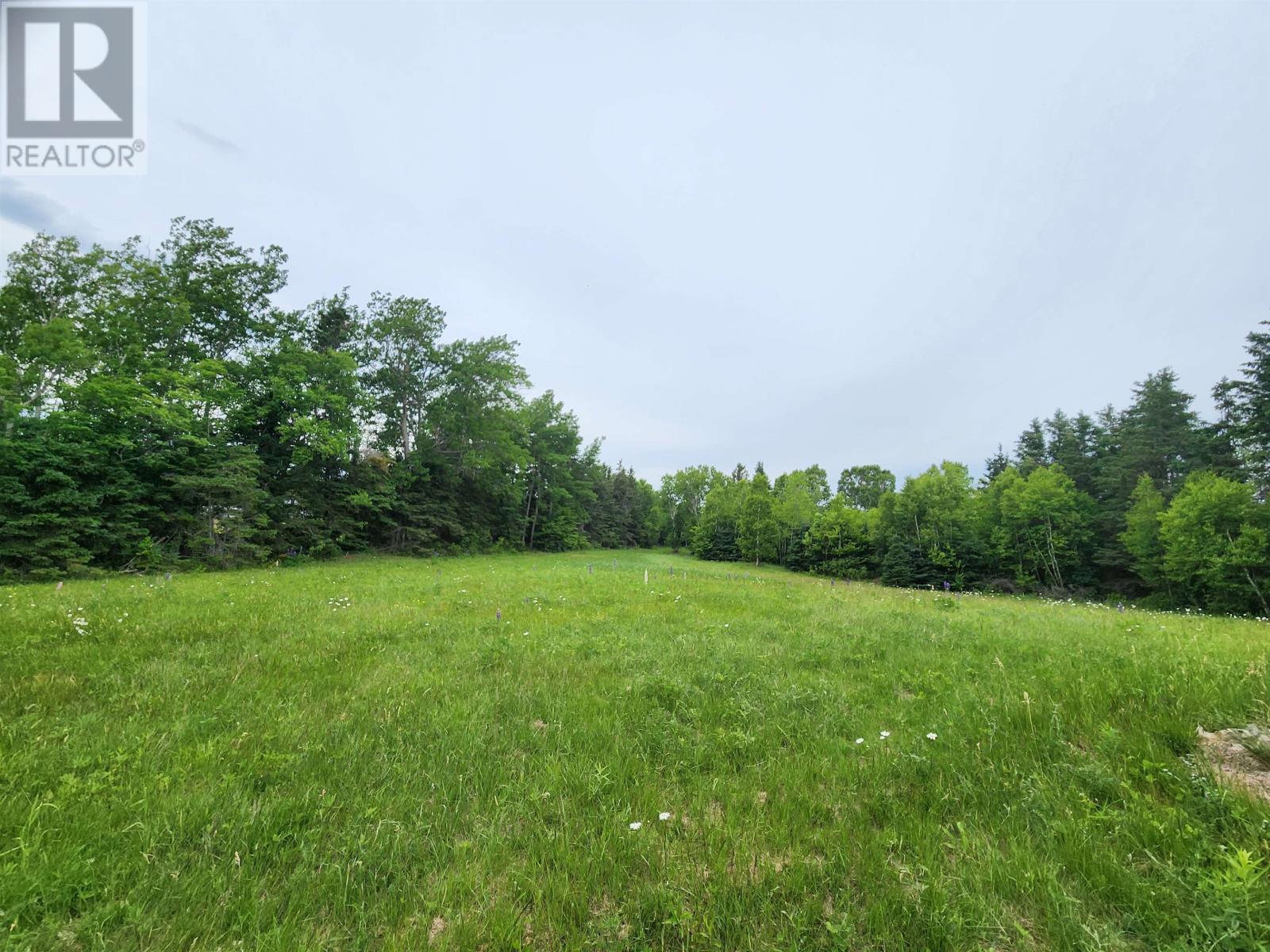 Acreage Gaspereaux Road, Gaspereaux, Prince Edward Island  C0A 1R0 - Photo 10 - 202515697