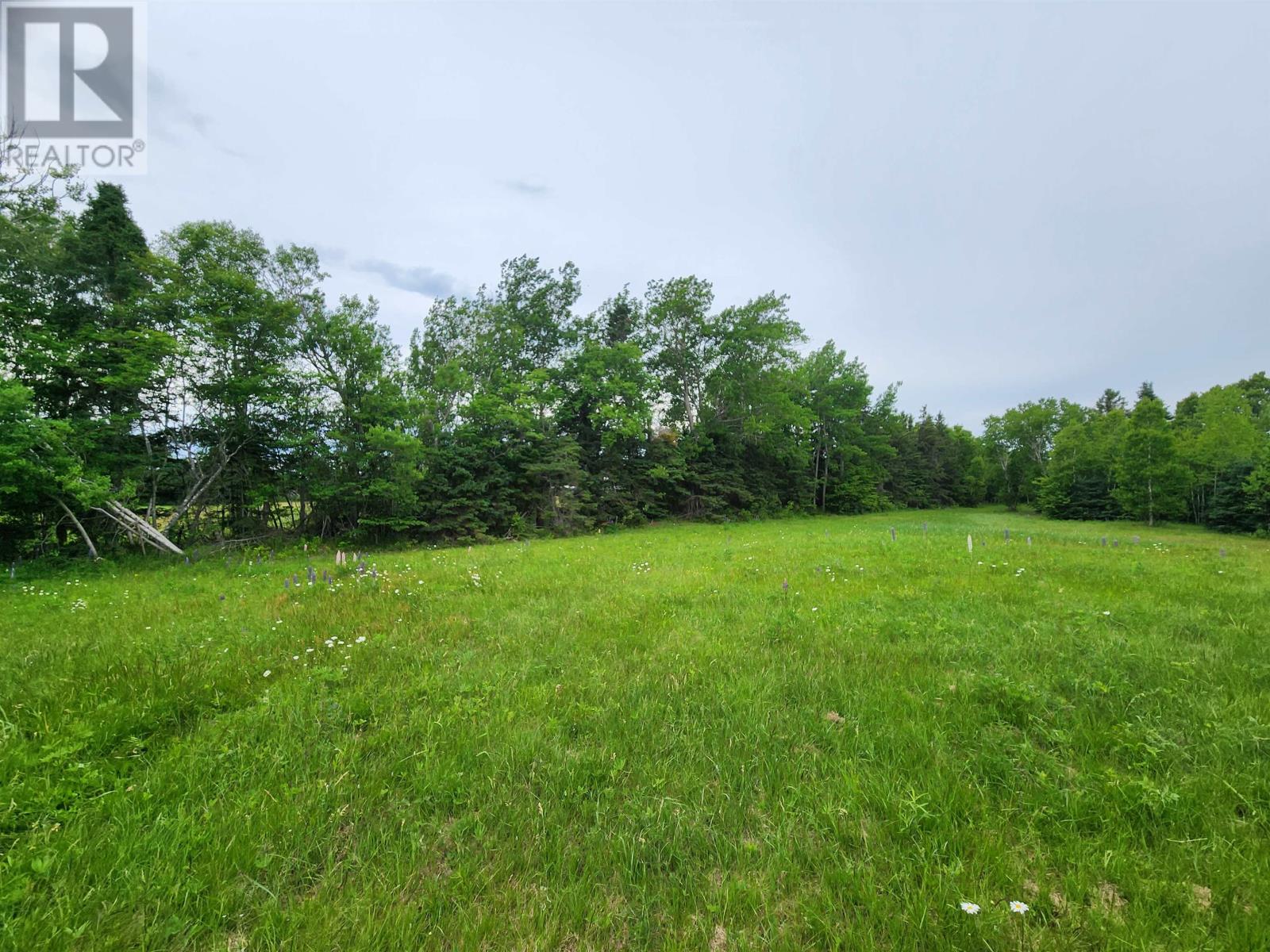 Acreage Gaspereaux Road, Gaspereaux, Prince Edward Island  C0A 1R0 - Photo 7 - 202515697