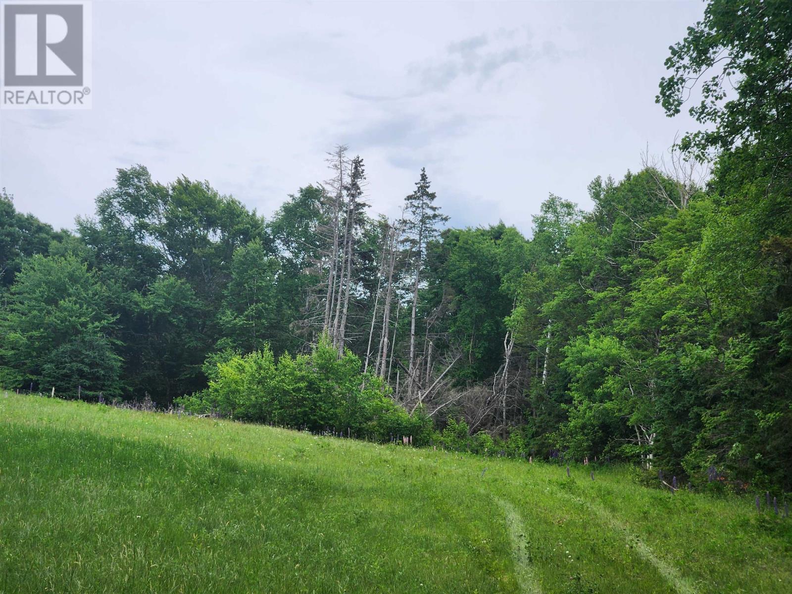Acreage Gaspereaux Road, Gaspereaux, Prince Edward Island  C0A 1R0 - Photo 8 - 202515697