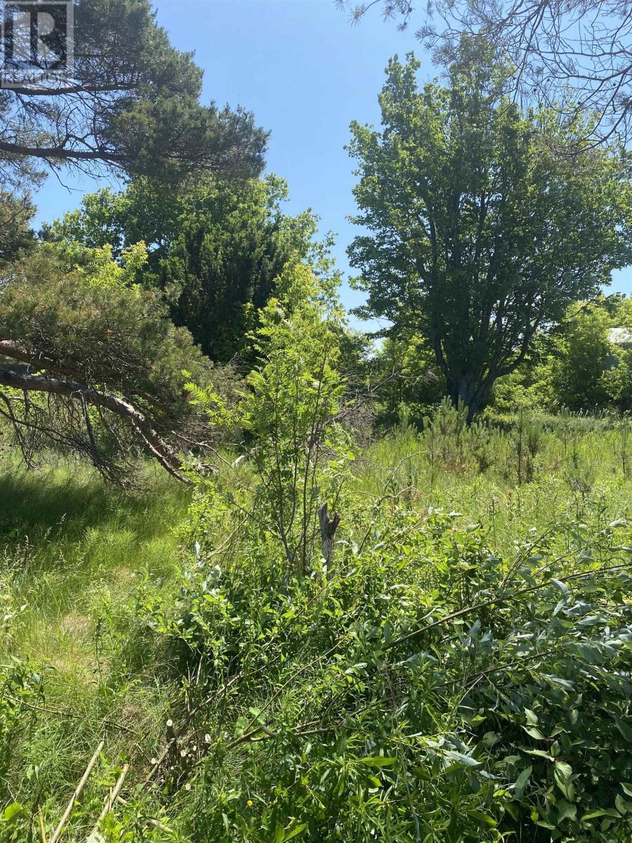 381 Rte 14, Coleman, Prince Edward Island  C0B 1H0 - Photo 2 - 202516063