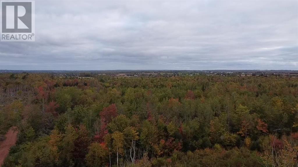 Acreage Bethel Road, Bethel, Prince Edward Island  C1B 3L4 - Photo 3 - 202516643