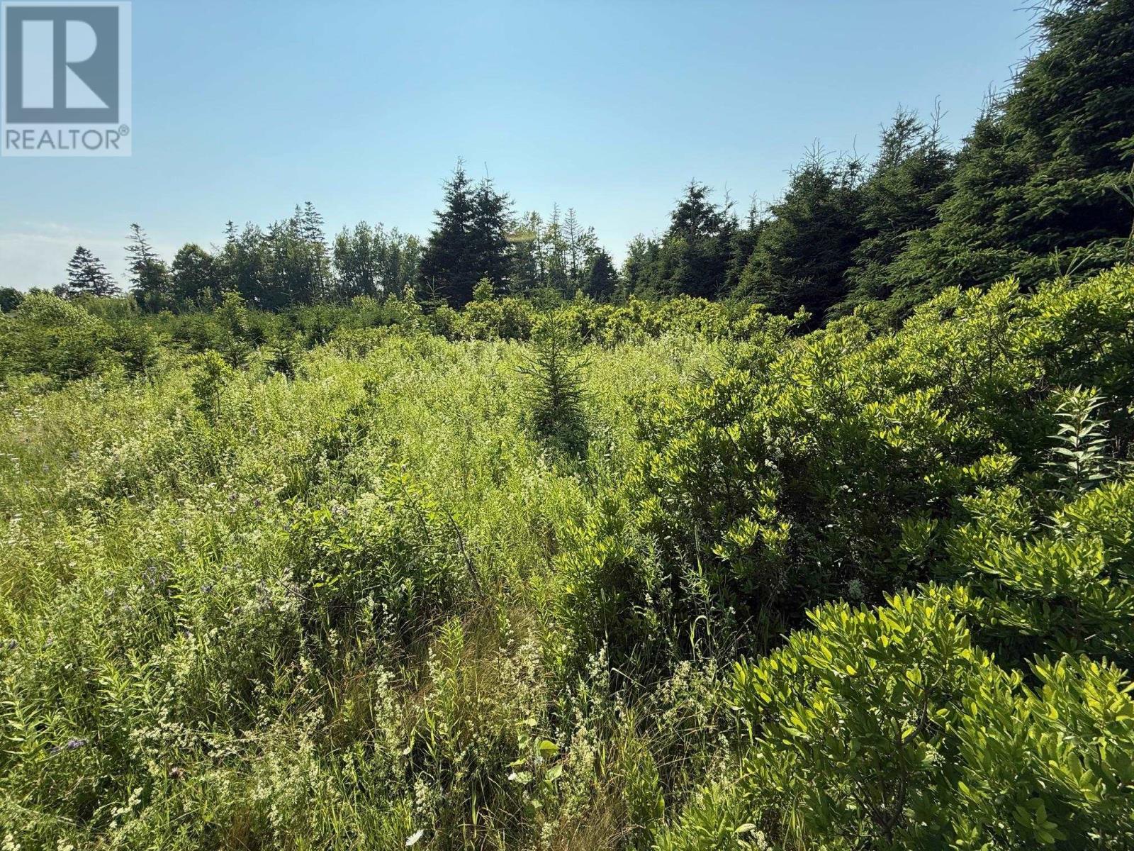 46 Sheri Court, Birch Hill, Prince Edward Island