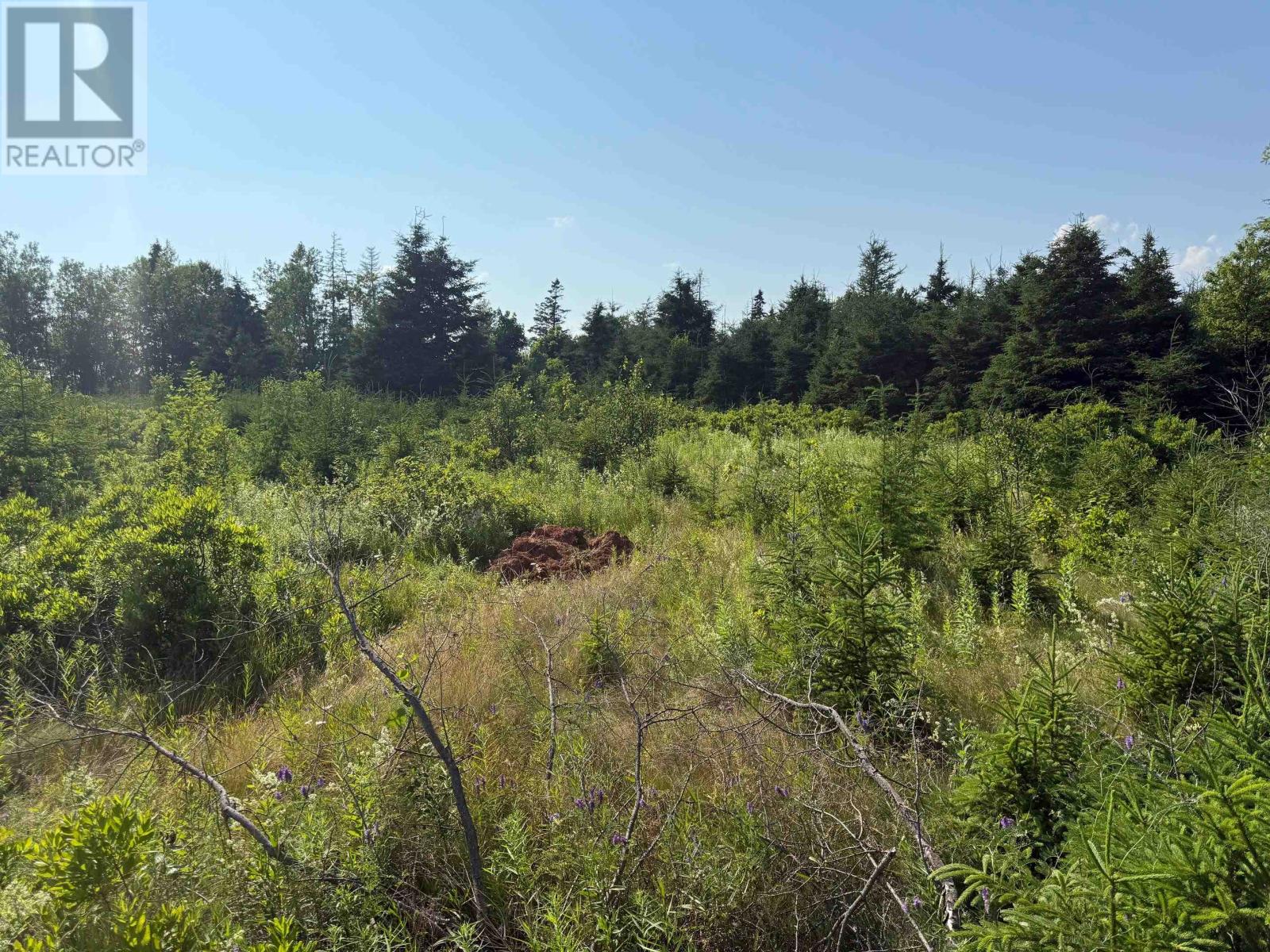 46 Sheri Court, Birch Hill, Prince Edward Island  C0B 2C0 - Photo 2 - 202516796