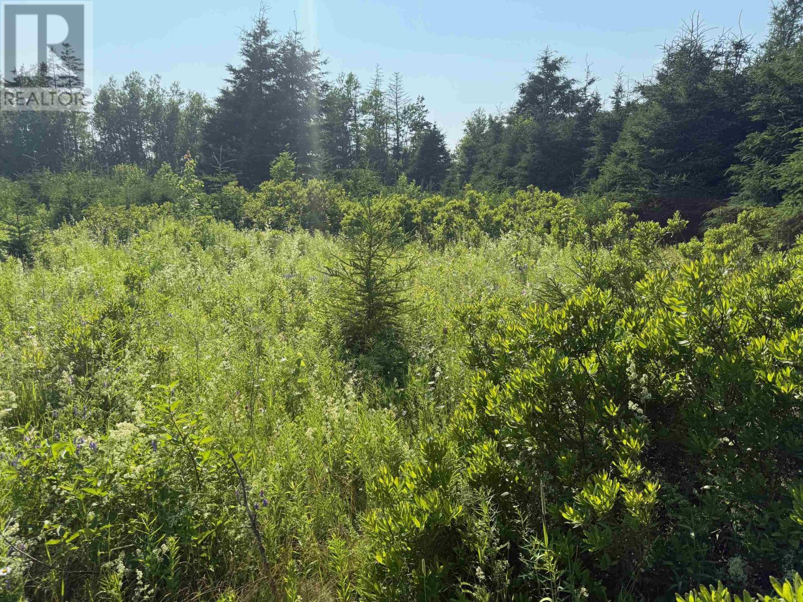 46 Sheri Court, Birch Hill, Prince Edward Island  C0B 2C0 - Photo 3 - 202516796