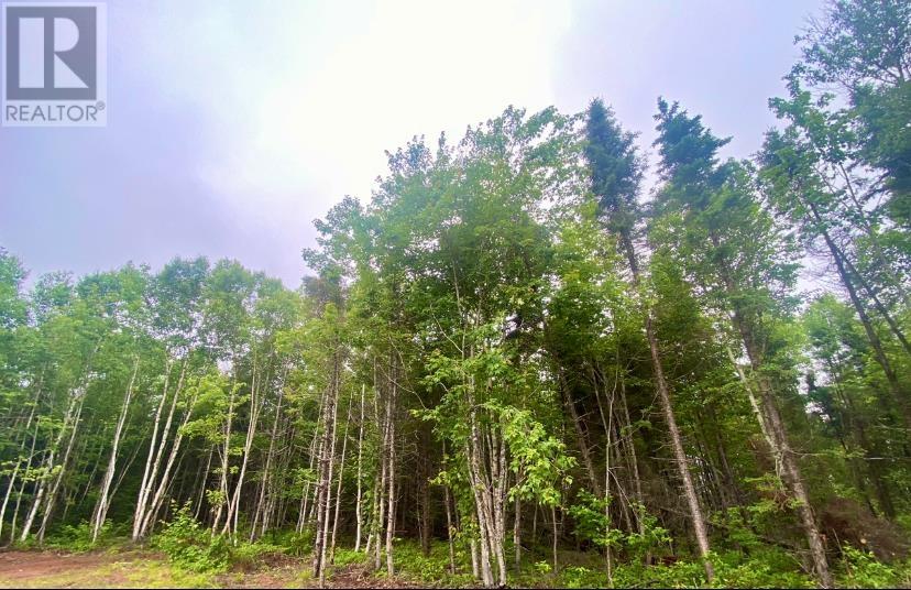 36 Francis Drive, Fortune Bridge, Prince Edward Island  C0A 2B0 - Photo 20 - 202517195