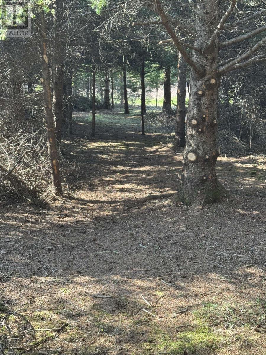 Lot Macneil Lane, Little Sands, Prince Edward Island  C0A 1W0 - Photo 12 - 202517550