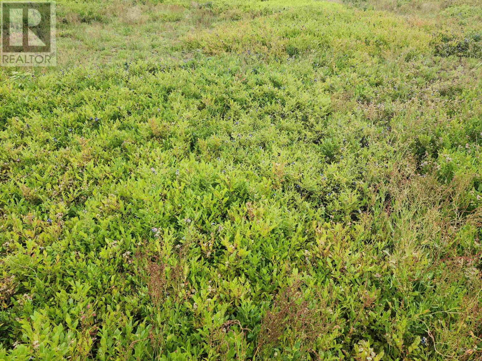 Acreage Colville Road, Ocean View, Prince Edward Island  C0A 1A0 - Photo 6 - 202517809