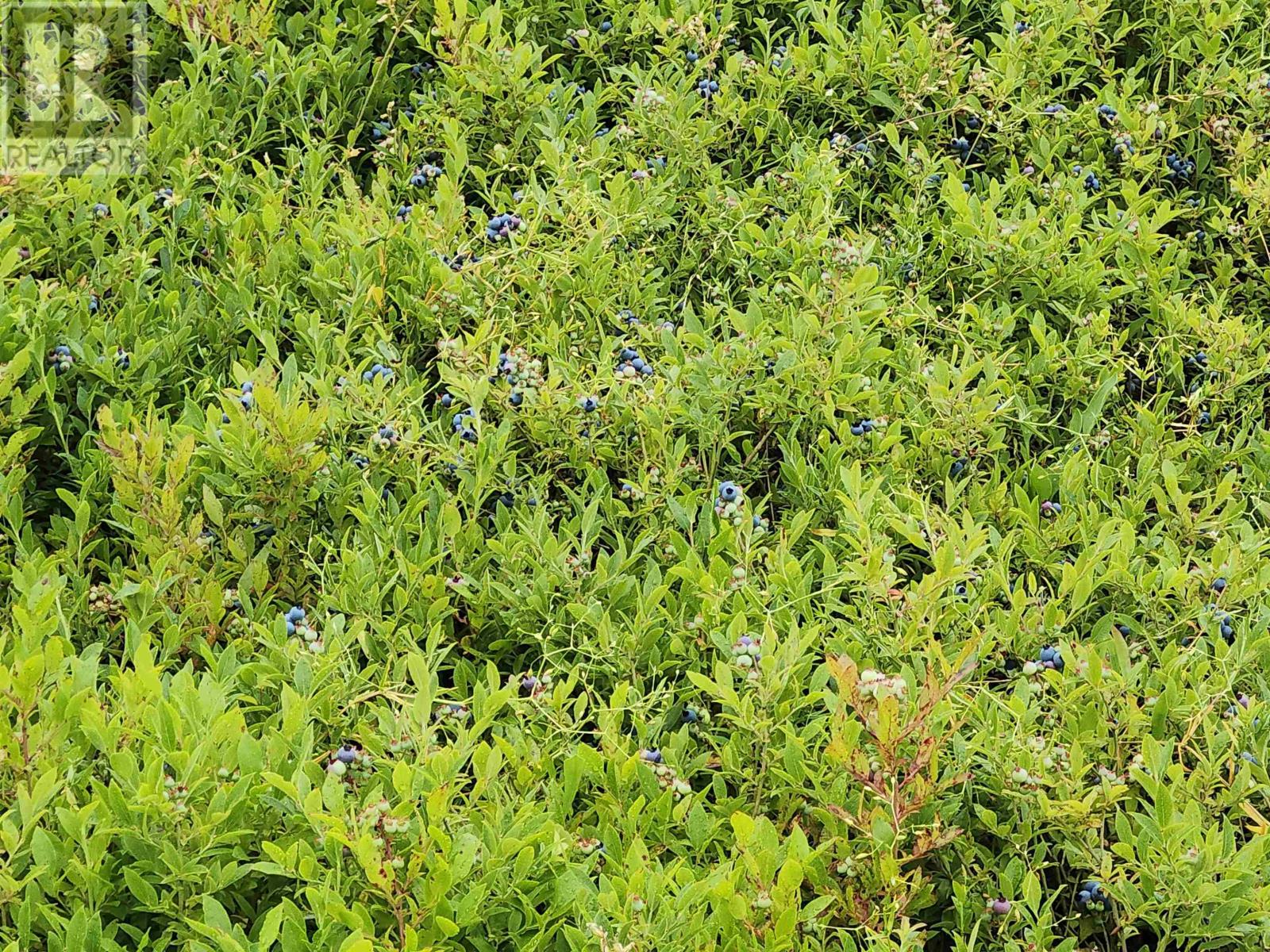 Acreage Colville Road, Ocean View, Prince Edward Island  C0A 1A0 - Photo 7 - 202517809