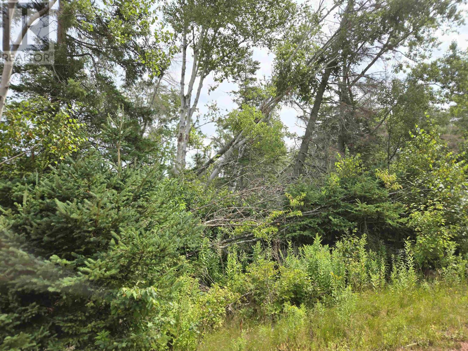 Lot Hazels Way, Gaspereaux, Prince Edward Island  C0A 1R0 - Photo 1 - 202519195