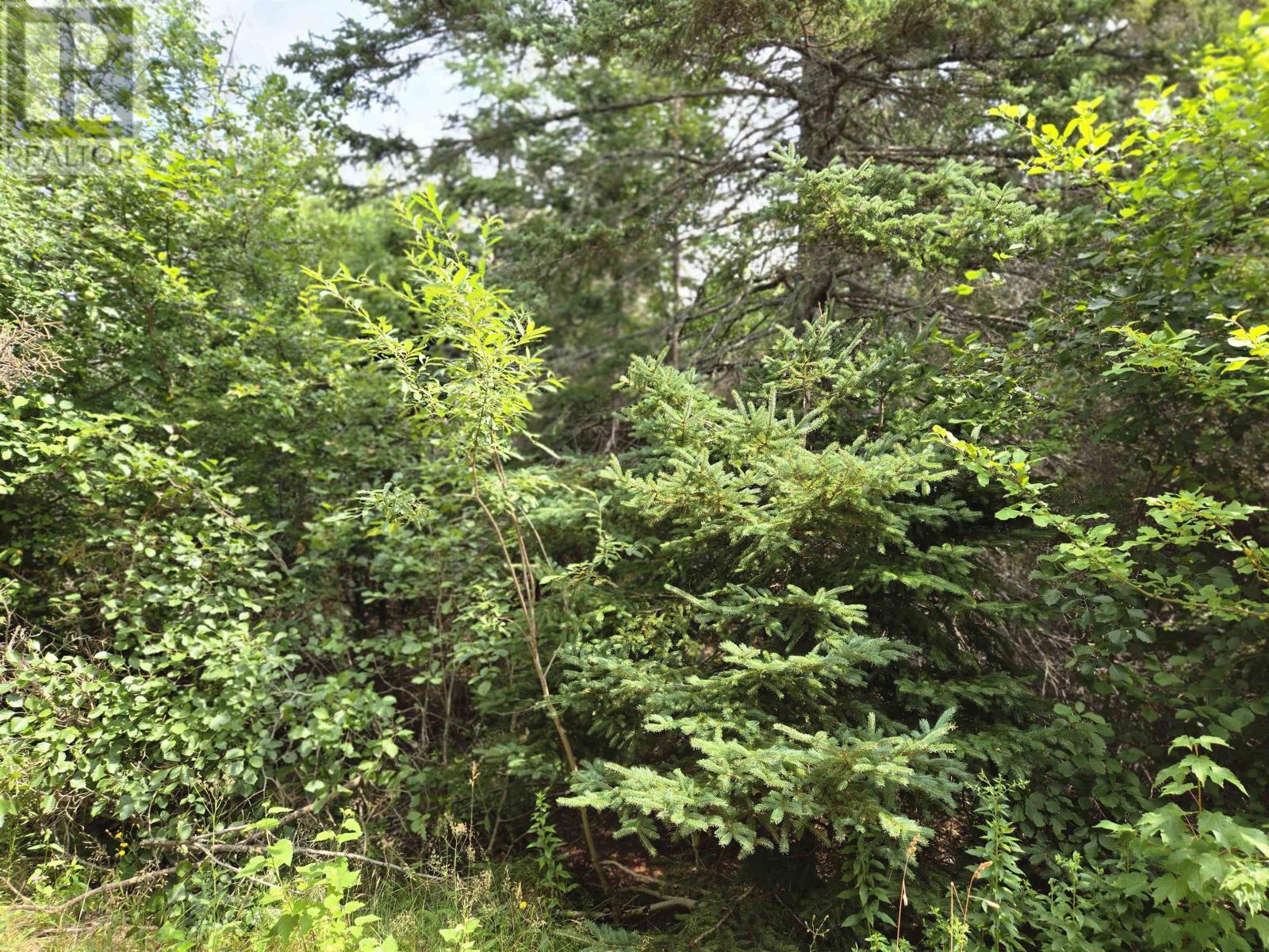 Lot Hazels Way, Gaspereaux, Prince Edward Island  C0A 1R0 - Photo 3 - 202519195