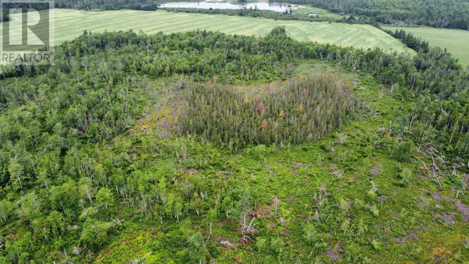 Patucket Road, Tarantum, Prince Edward Island  C0A 1Z0 - Photo 3 - 202519535