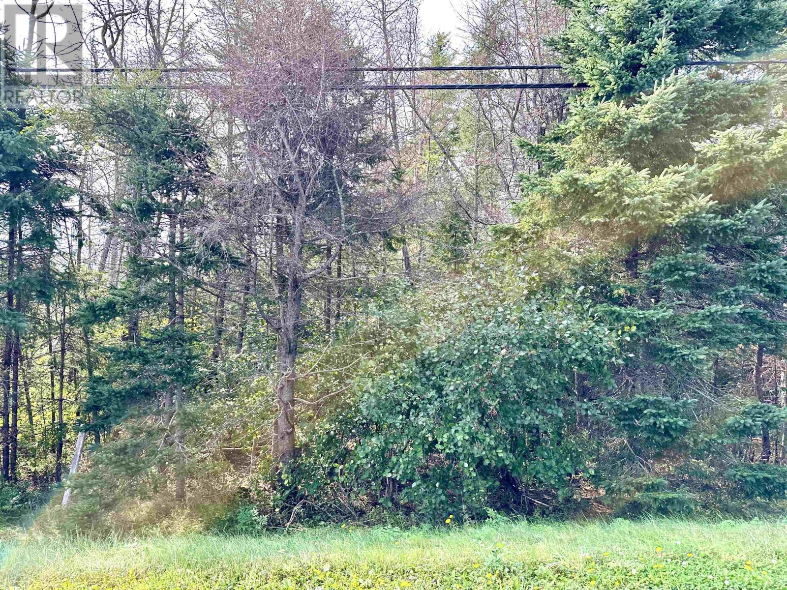 Cape Bear Road, Route 18, Murray Harbour, Prince Edward Island  C0A 1W0 - Photo 11 - 202520955