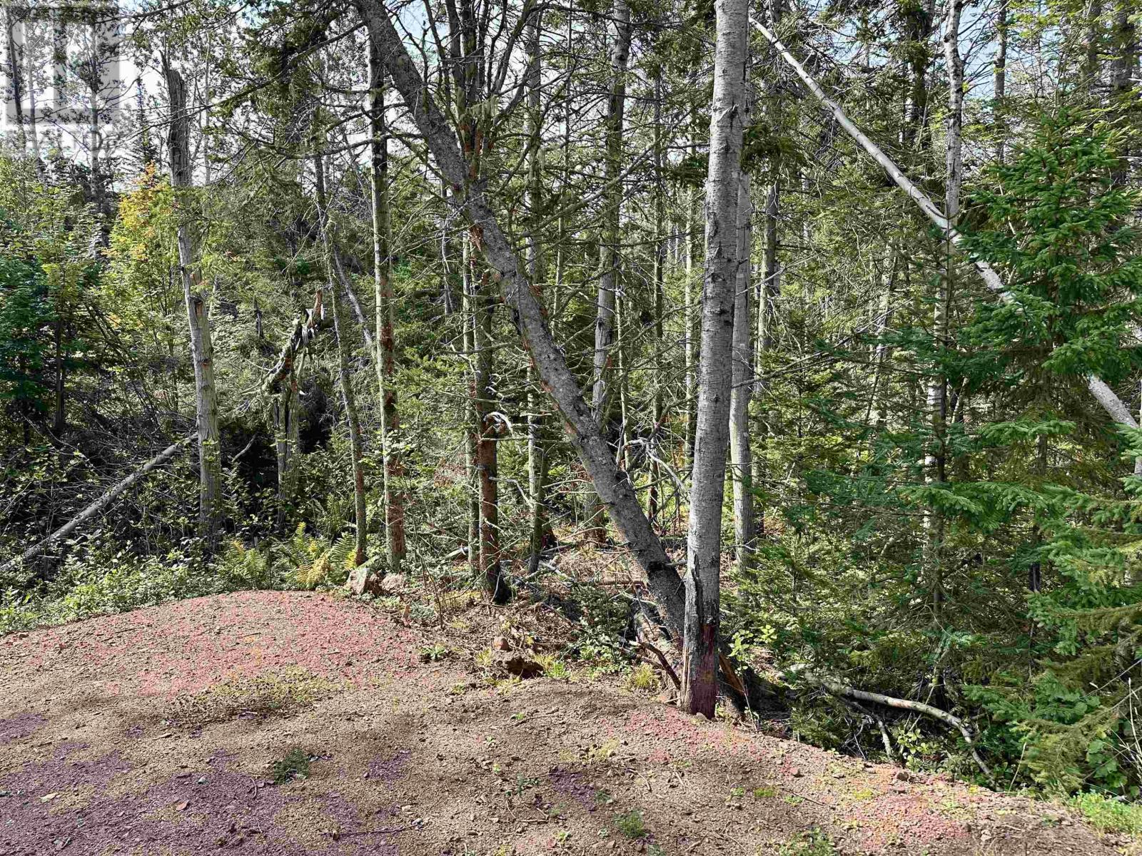 Cape Bear Road, Route 18, Murray Harbour, Prince Edward Island  C0A 1W0 - Photo 15 - 202520955