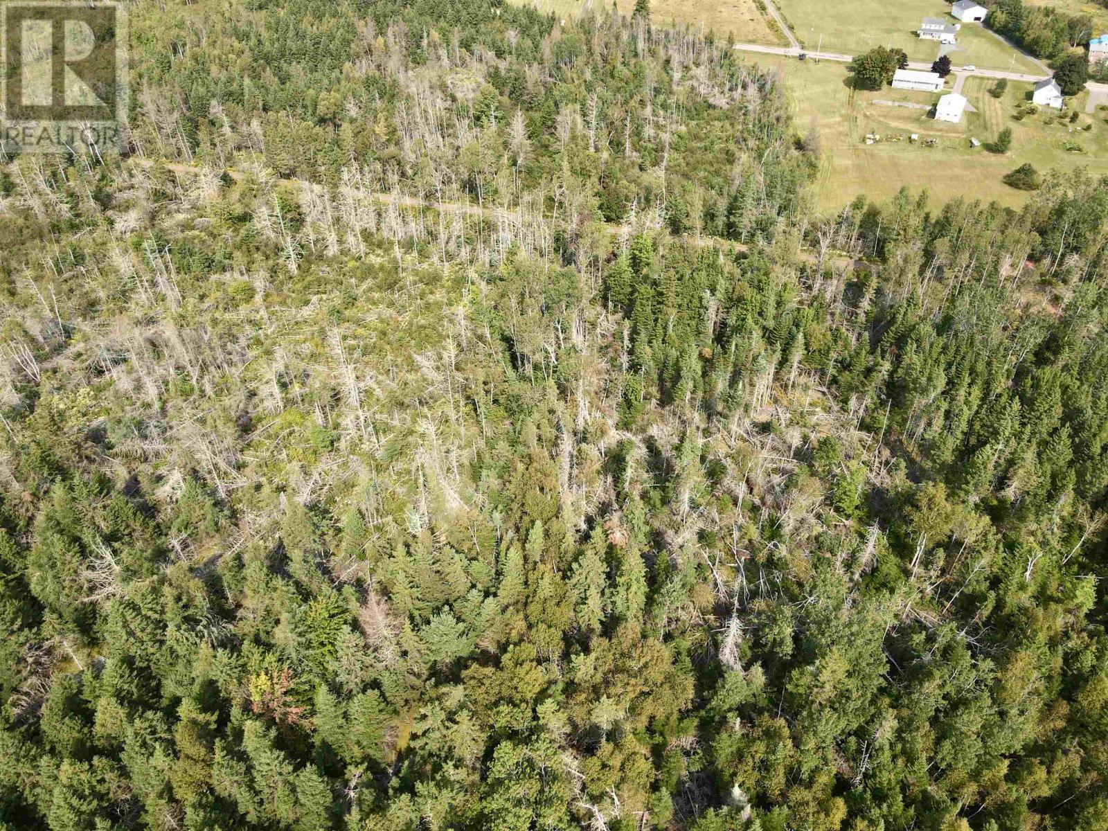 Cape Bear Road, Route 18, Murray Harbour, Prince Edward Island  C0A 1W0 - Photo 21 - 202520955