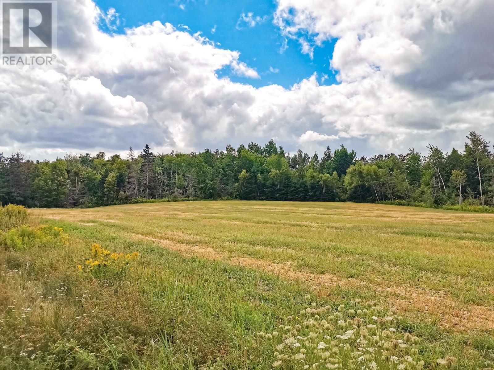 3351 Seven Mile Road, Cardigan, Prince Edward Island  C0A 1G0 - Photo 9 - 202521450