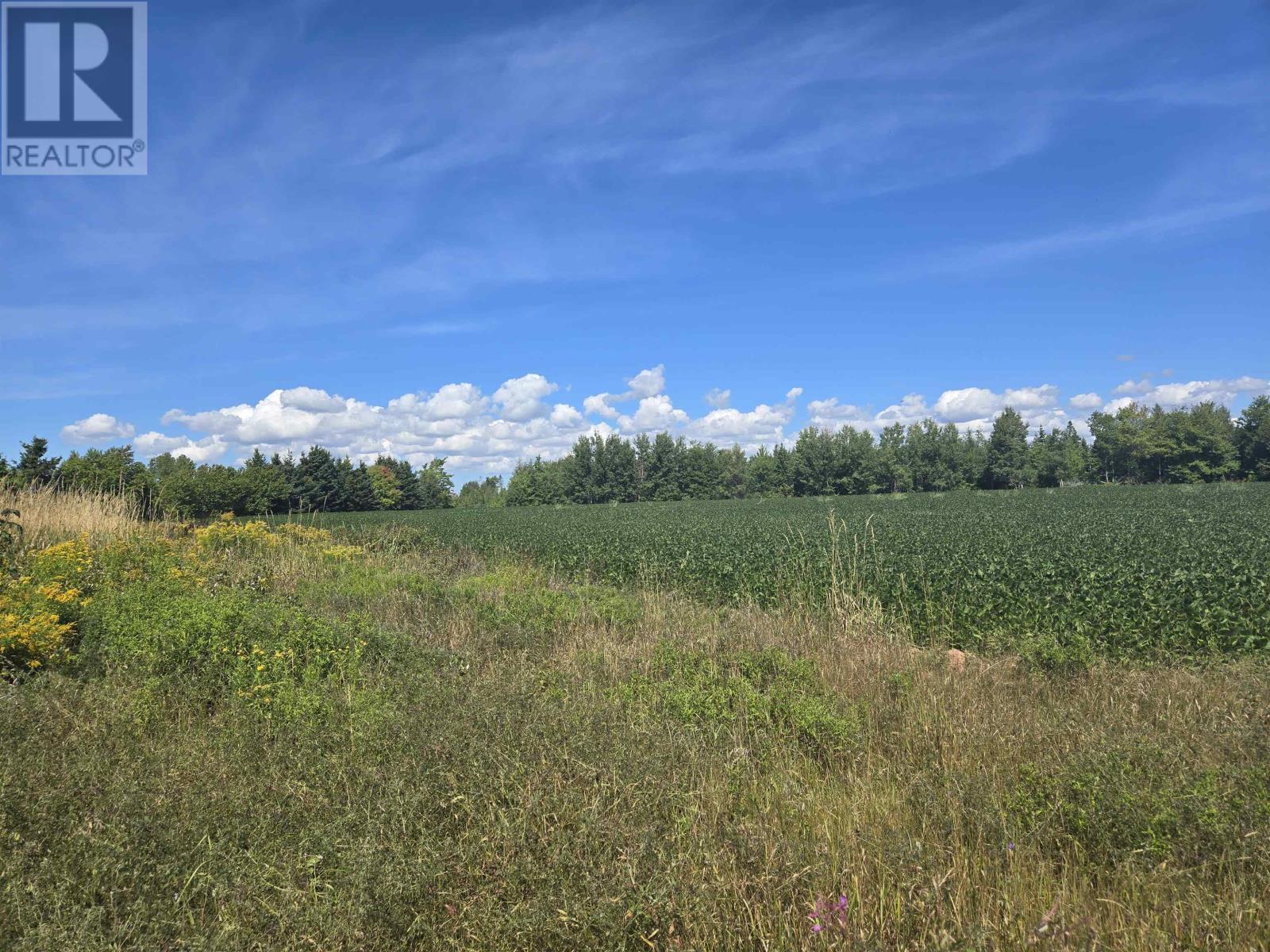 10682 Shore Road, Rte 4, High Bank, Prince Edward Island  C0A 1W0 - Photo 20 - 202521939