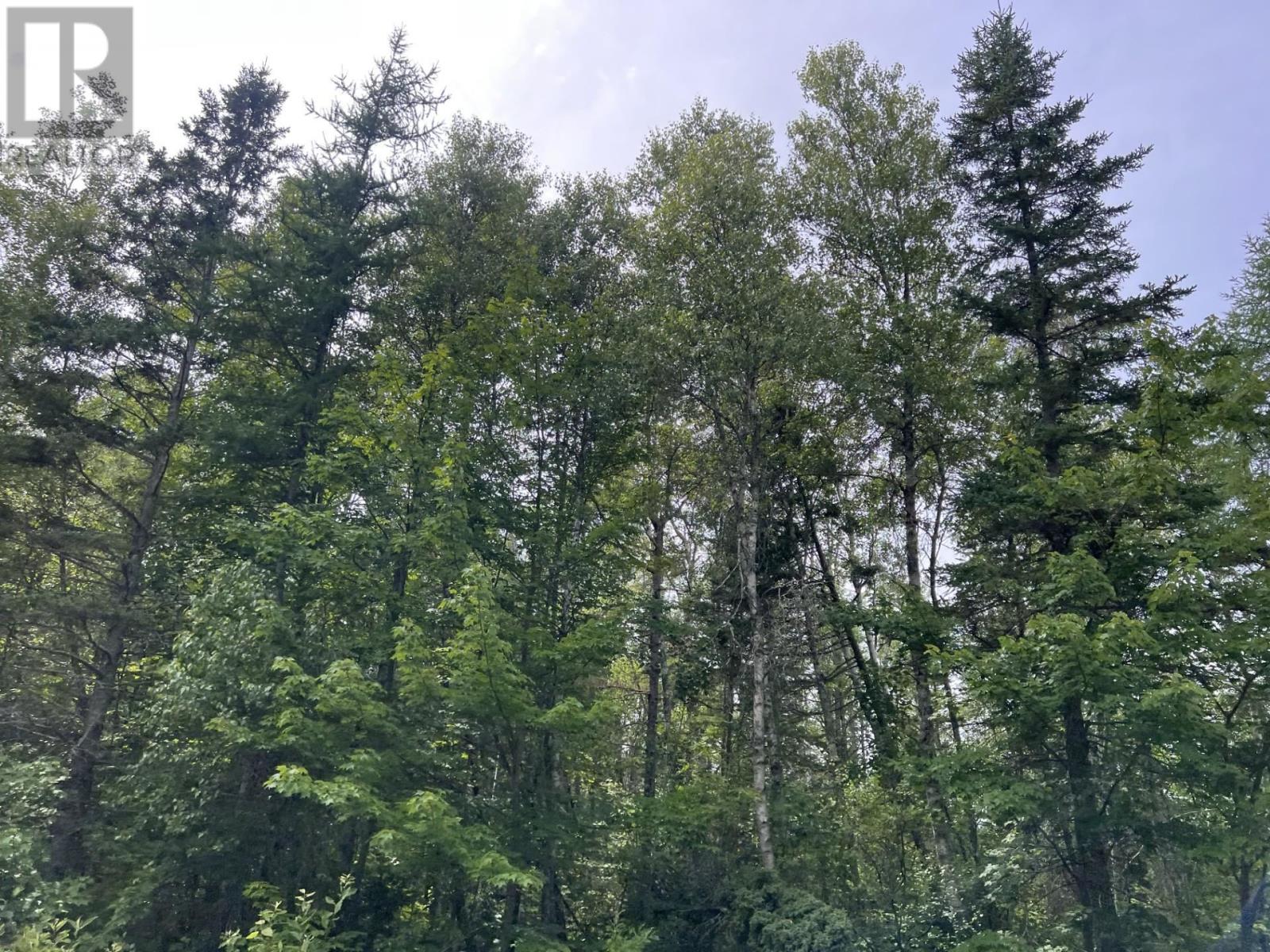 Rte 12 Tyne Valley, Tyne Valley, Prince Edward Island  C0B 2C0 - Photo 1 - 202522010