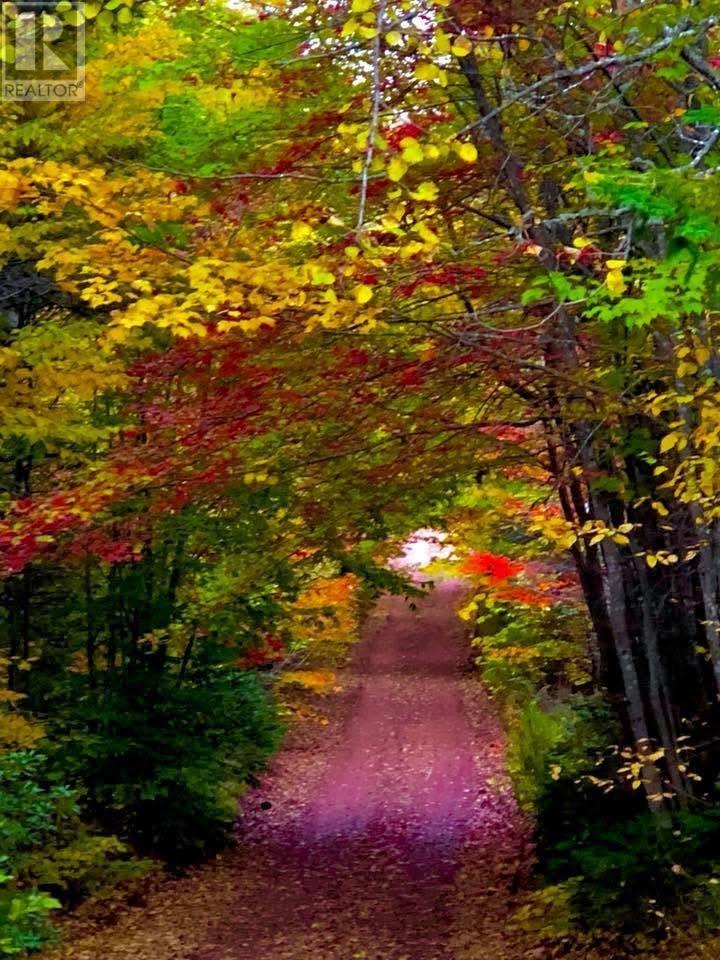 Lot 1 Monument Road, Stanchel, Prince Edward Island  C0A 1Y0 - Photo 4 - 202522573