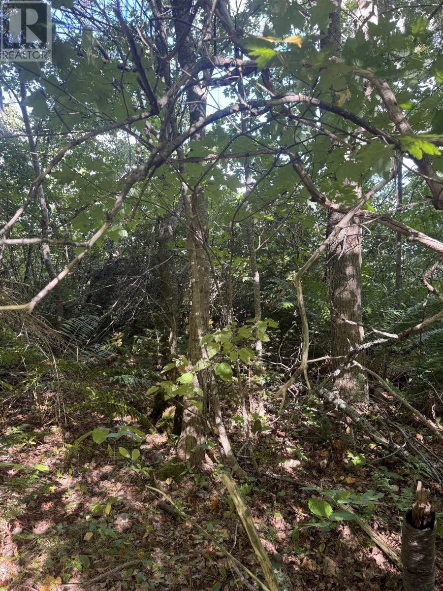 Lot Graham's Pond Road, Gaspereaux, Prince Edward Island  C0A 1R0 - Photo 13 - 202523712