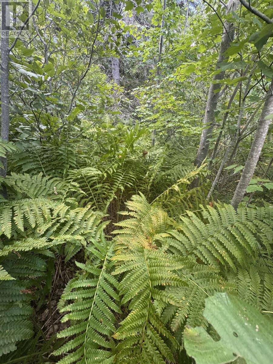 Lot Graham's Pond Road, Gaspereaux, Prince Edward Island  C0A 1R0 - Photo 14 - 202523712