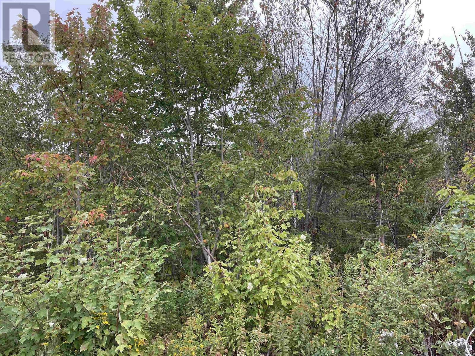 Lot Country Lane, Victoria West, Prince Edward Island  C0B 2C0 - Photo 8 - 202524076