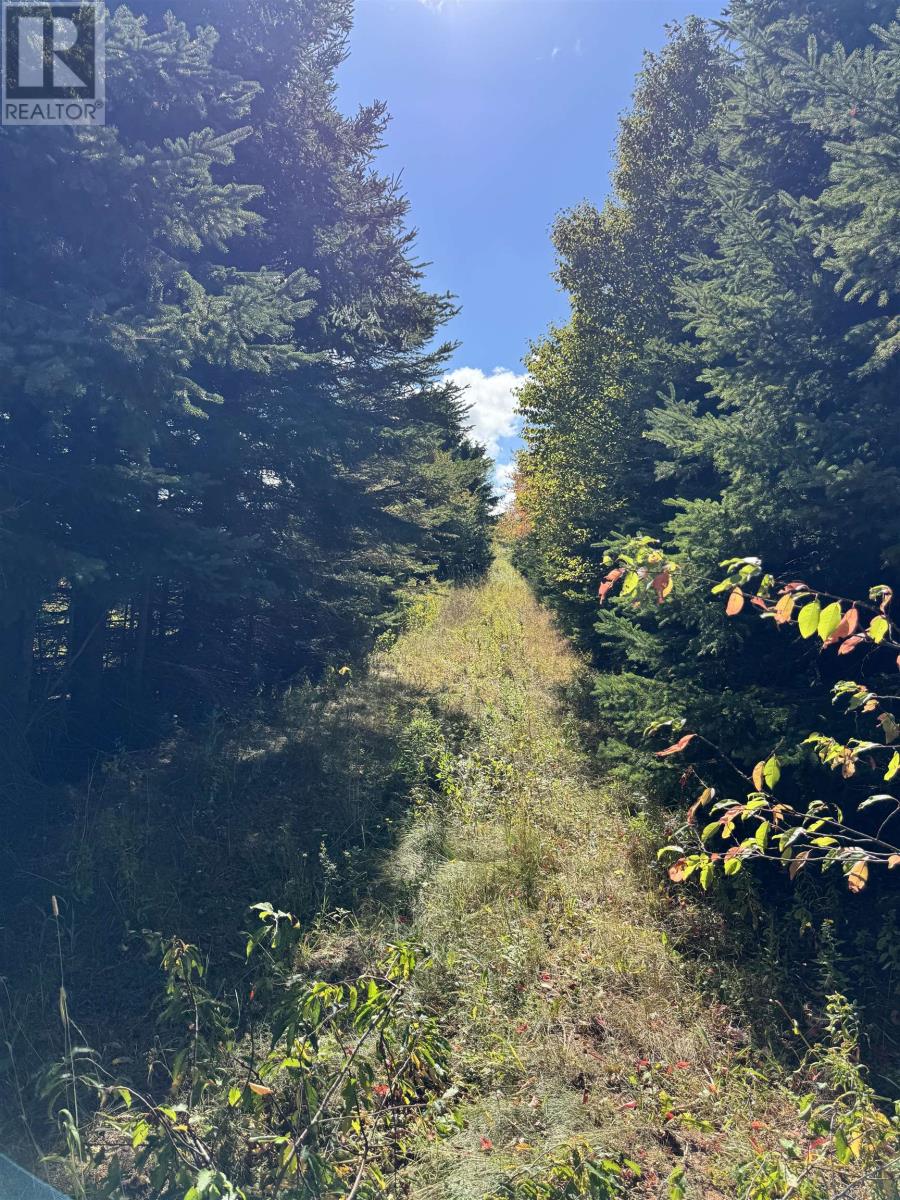 Sparrows Road, St. Peters Bay, Prince Edward Island  C0A 2A0 - Photo 7 - 202524200