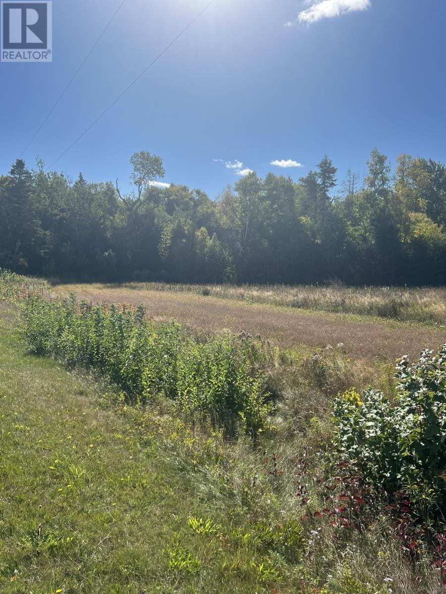 Lot 1479 North Royalty Road, Cardigan, Prince Edward Island  C0A 1L0 - Photo 3 - 202524551