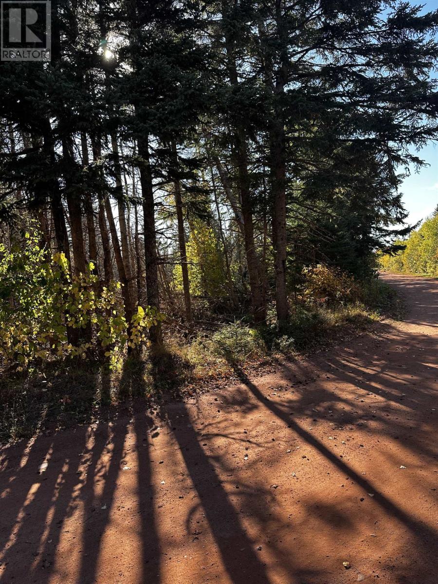 Lot 1 Dune Road, St. Felix, Prince Edward Island  C0B 2B0 - Photo 10 - 202525361