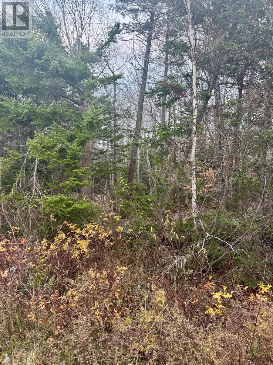 125 Cumberland Line Road, Fairview, Prince Edward Island  C0A 1H2 - Photo 15 - 202525439