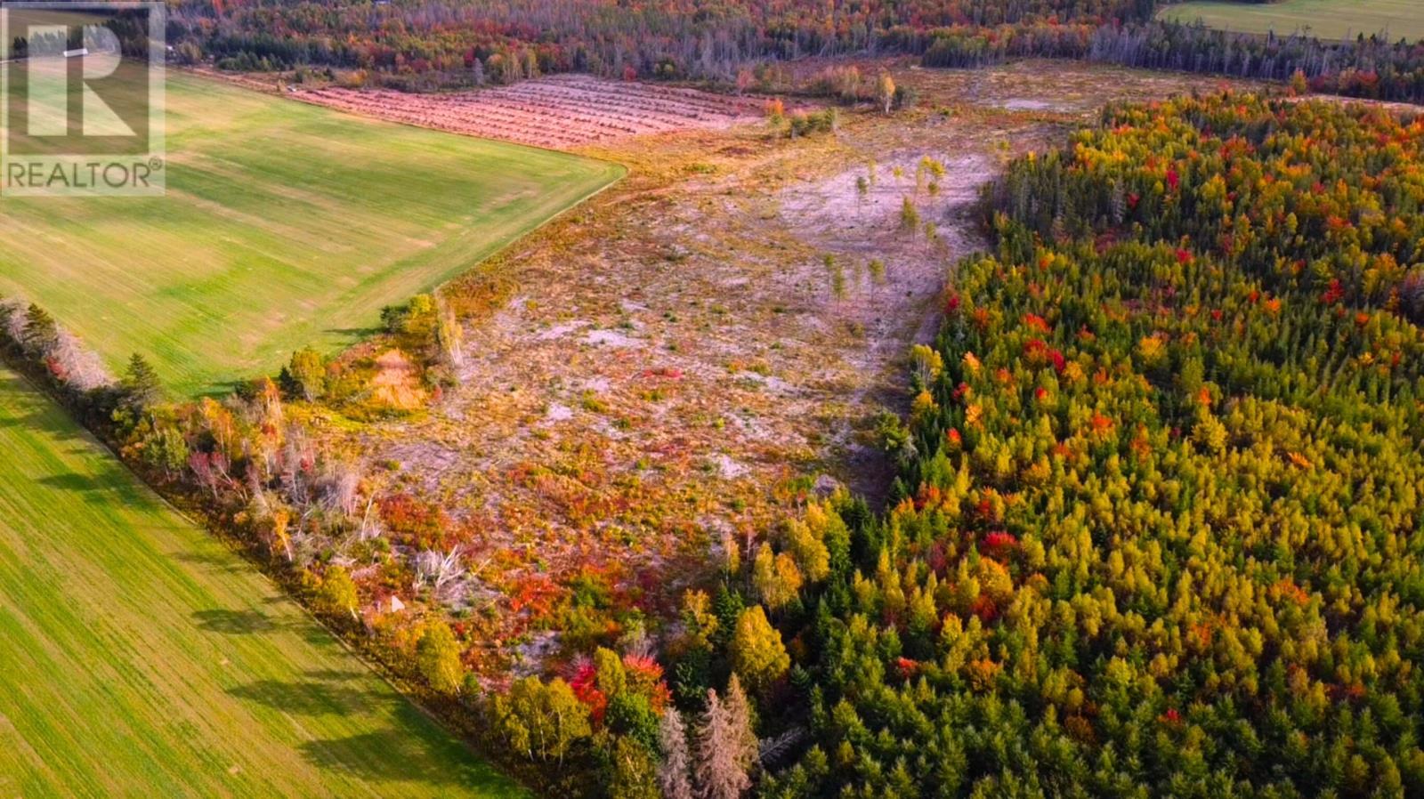 3702 Baldwins Road, Cardigan, Prince Edward Island  C0A 1T0 - Photo 2 - 202525492