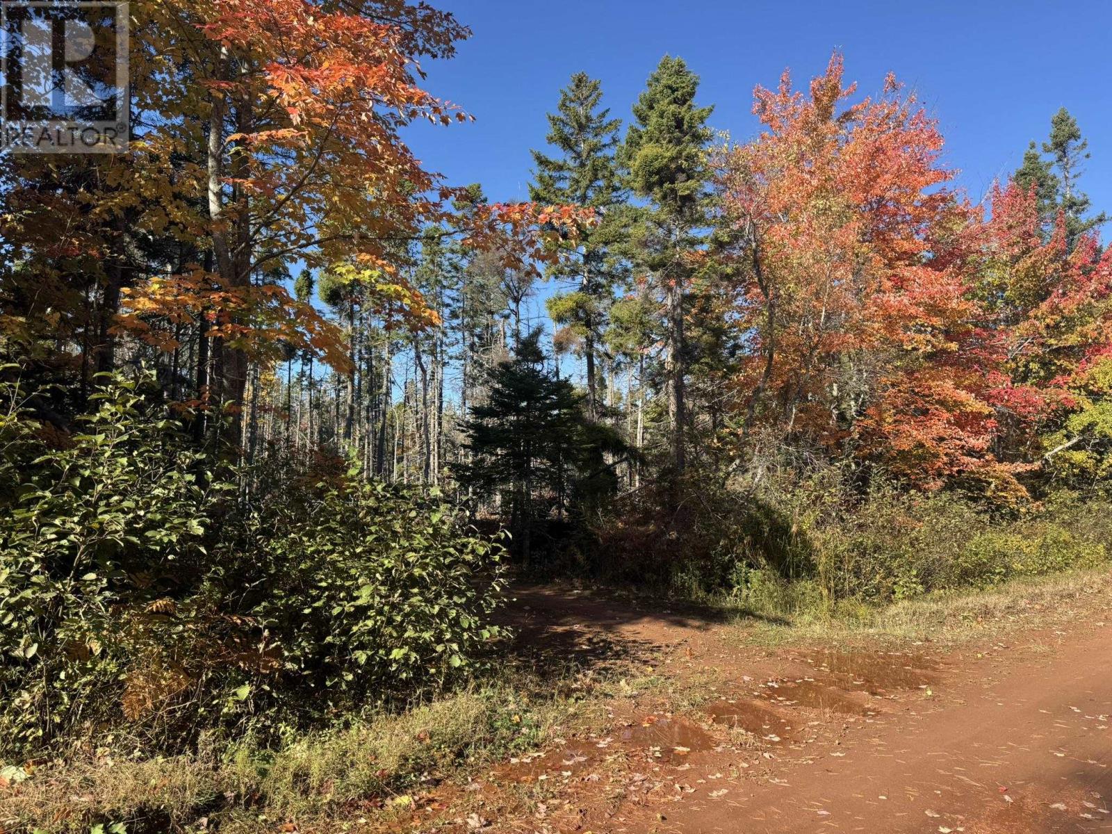 0 Mill Road, North Enmore, Prince Edward Island  C0B 1J0 - Photo 13 - 202525737
