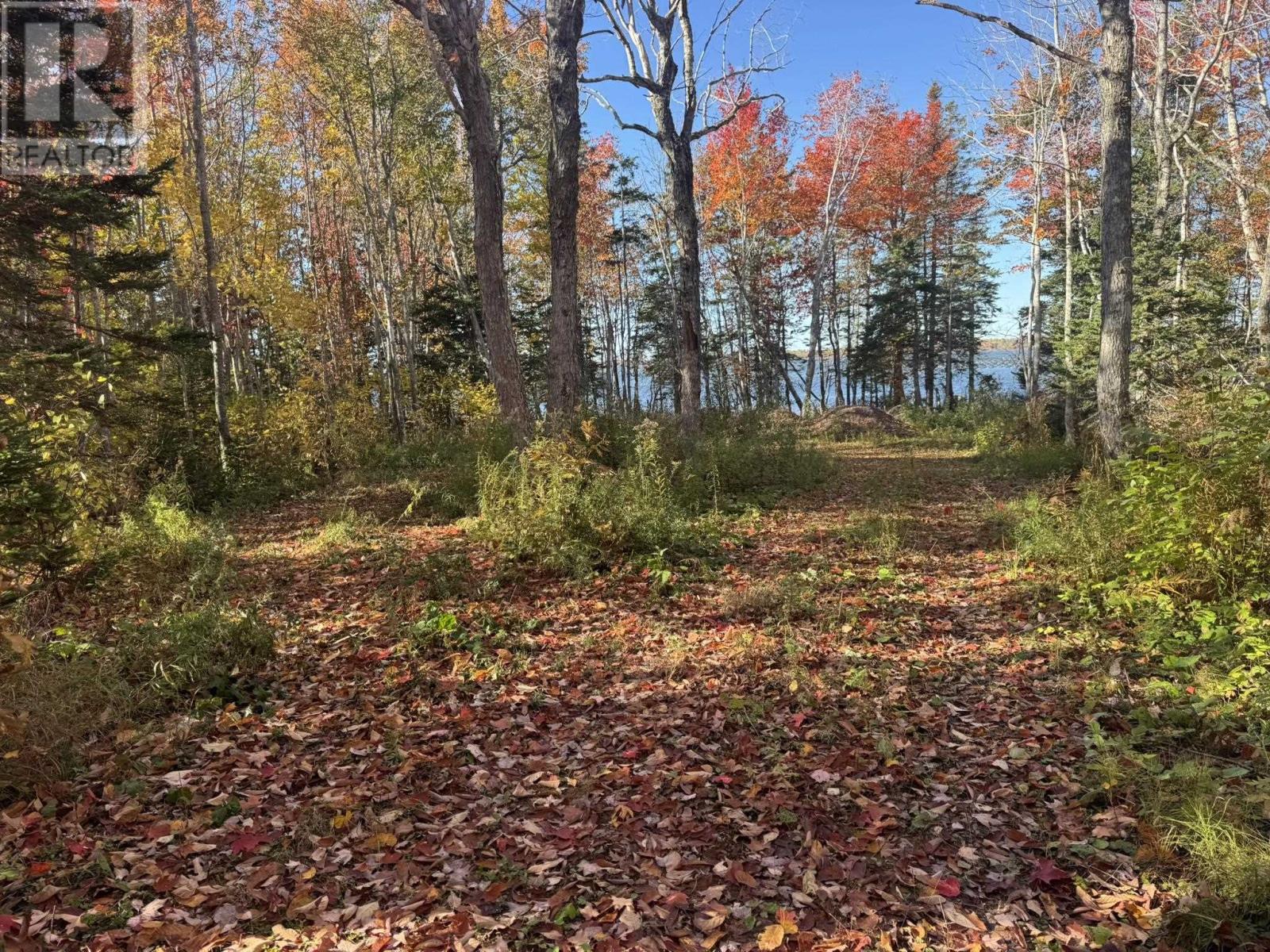 0 Mill Road, North Enmore, Prince Edward Island  C0B 1J0 - Photo 20 - 202525737