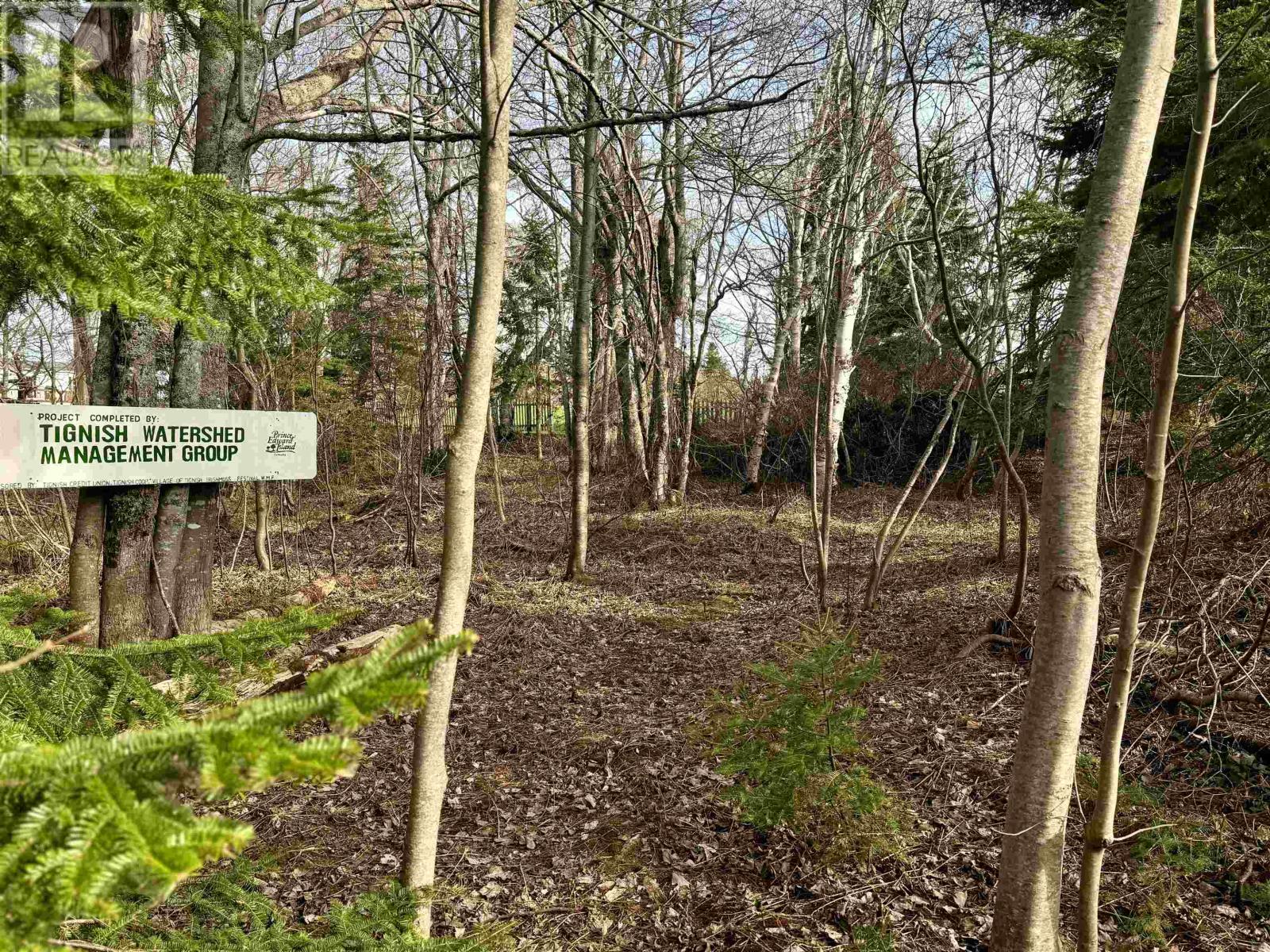 Route 12, Kildare, Prince Edward Island  C0B 1B0 - Photo 24 - 202525950