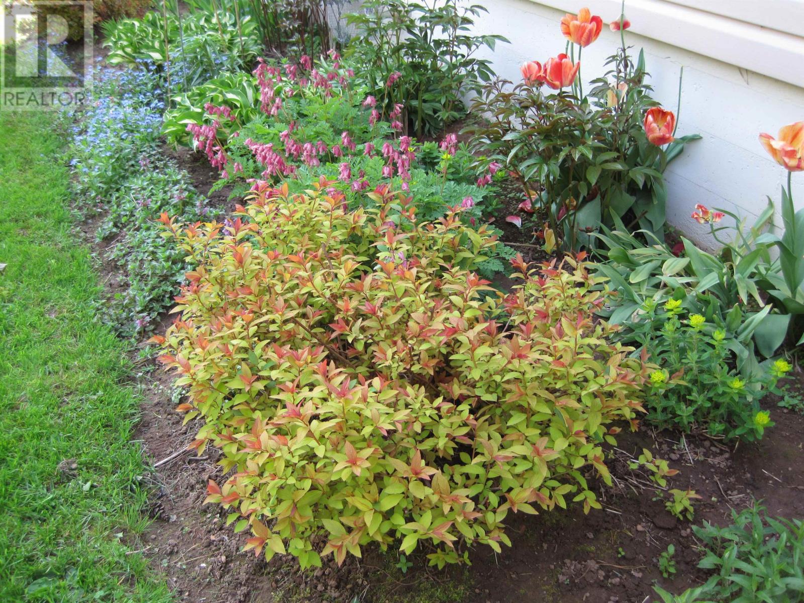 20 Avonlea Drive, Charlottetown, Prince Edward Island  C1C 1C7 - Photo 30 - 202526269