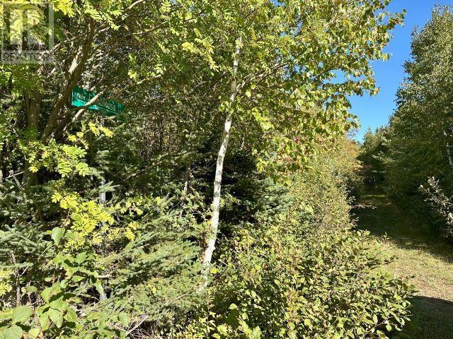 Lot 25 Lighthouse Lane, Launching, Prince Edward Island  C0A 1G0 - Photo 17 - 202526478