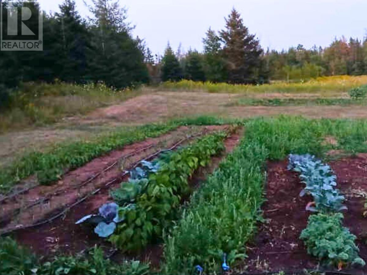 3320 Five Houses Road, Fort Augustus, Prince Edward Island  C0A 1T0 - Photo 31 - 202526494