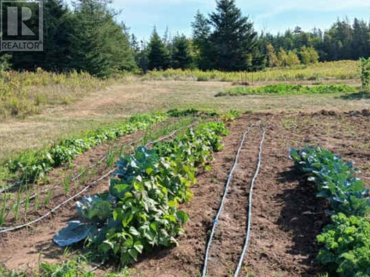 3320 Five Houses Road, Fort Augustus, Prince Edward Island  C0A 1T0 - Photo 32 - 202526494
