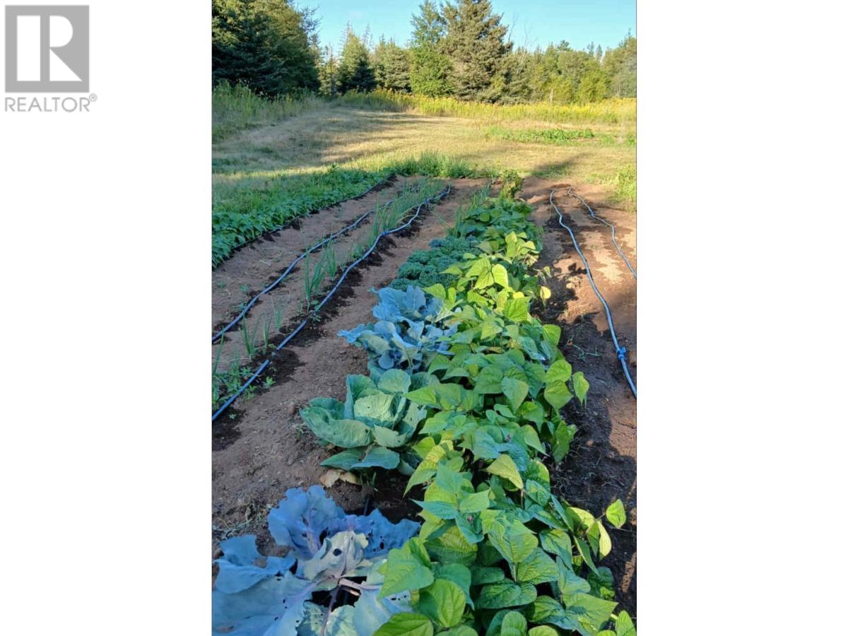 3320 Five Houses Road, Fort Augustus, Prince Edward Island  C0A 1T0 - Photo 34 - 202526494