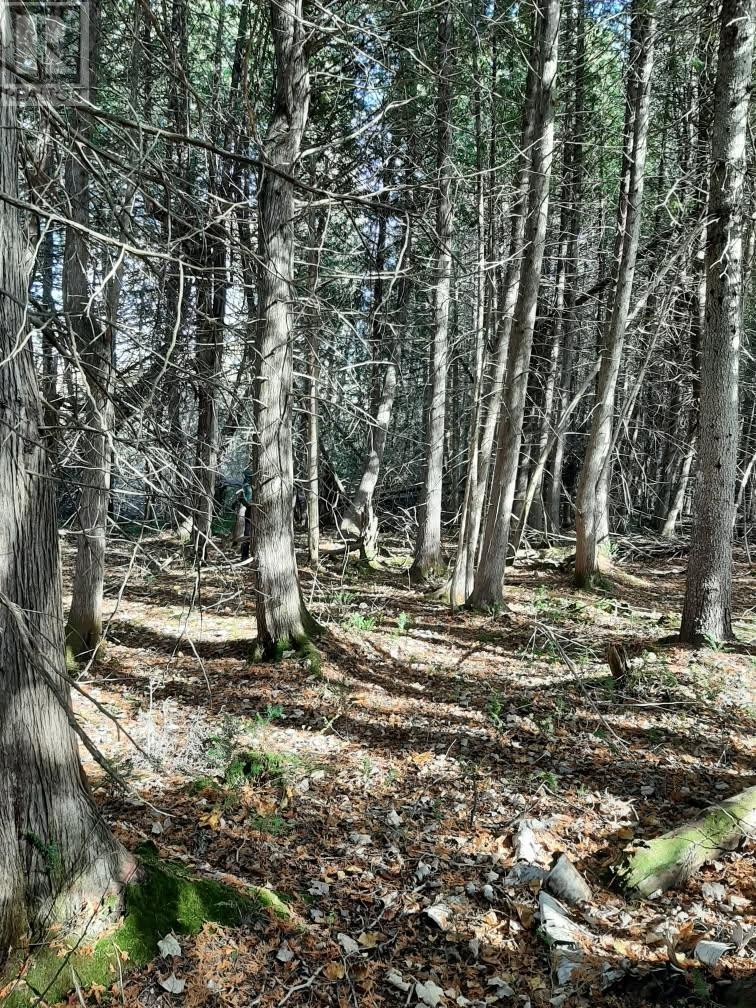 Acreage Doyle Road, Glengarry, Prince Edward Island  C0B 1E0 - Photo 6 - 202526639