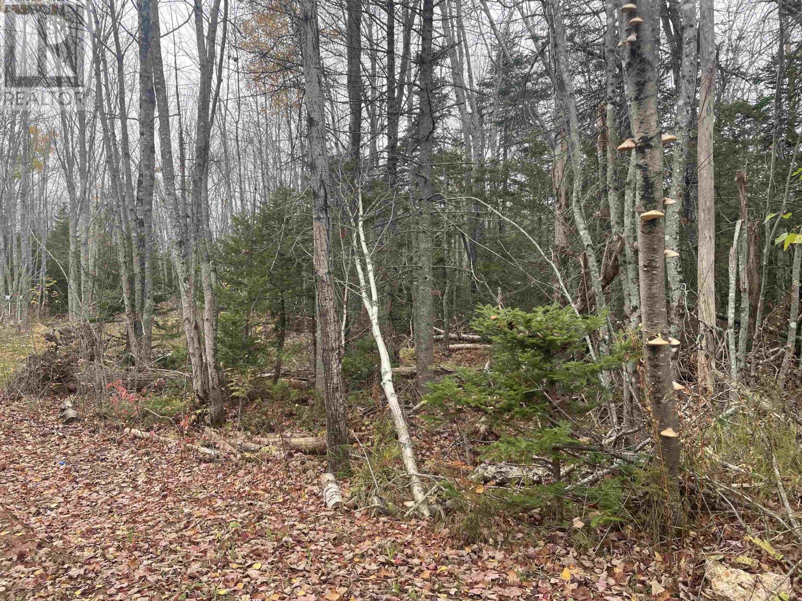 Allen Road|Route 122, South West Lot 16, Prince Edward Island