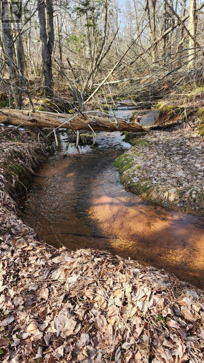 418 Rte 19 Meadowbank Road, Meadowbank, Prince Edward Island  C0A 1H1 - Photo 37 - 202527010