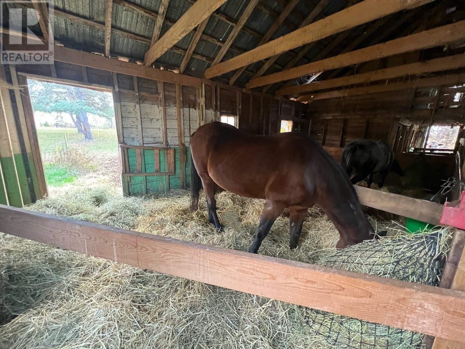 205 Dundee Loop, West St. Peters, Prince Edward Island  C0A 1S0 - Photo 39 - 202527053