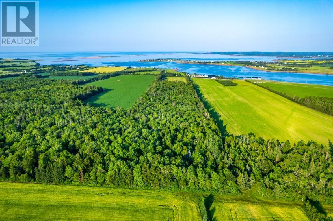 Route 20, Springbrook, Prince Edward Island  C0B 1M0 - Photo 4 - 202527118