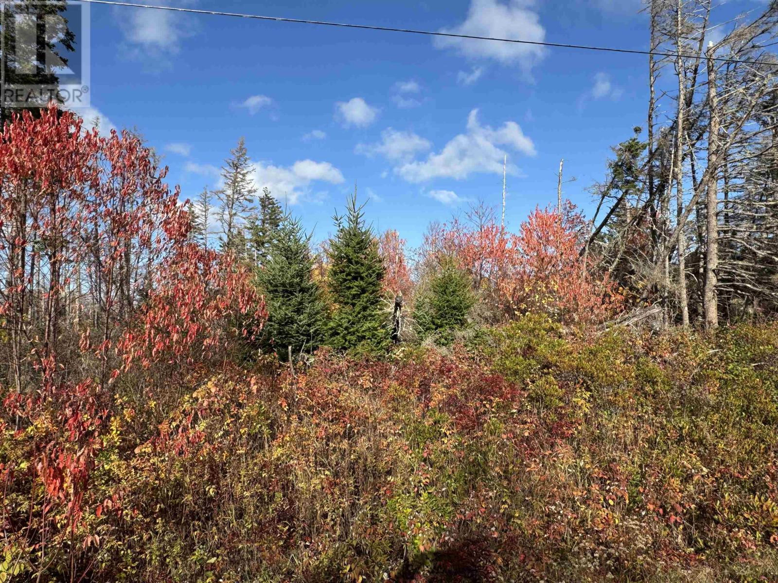 Lot Willow Lane, Priest Pond, Prince Edward Island