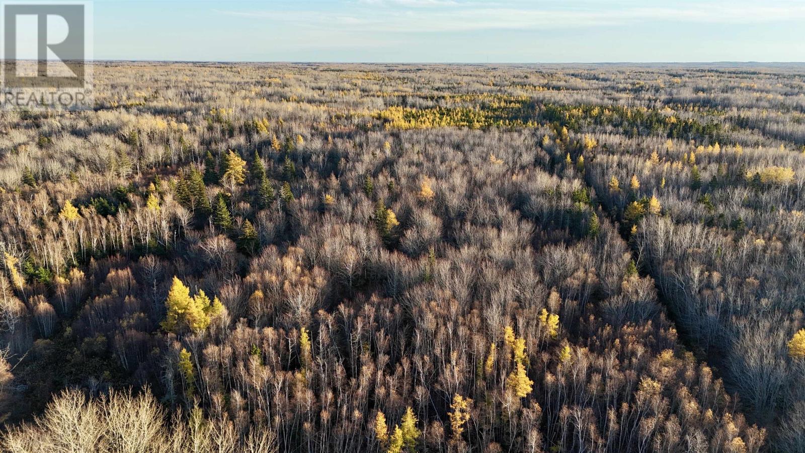 Deblois Road, Rte 157, Deblois, Prince Edward Island  C0B 2B0 - Photo 3 - 202527278