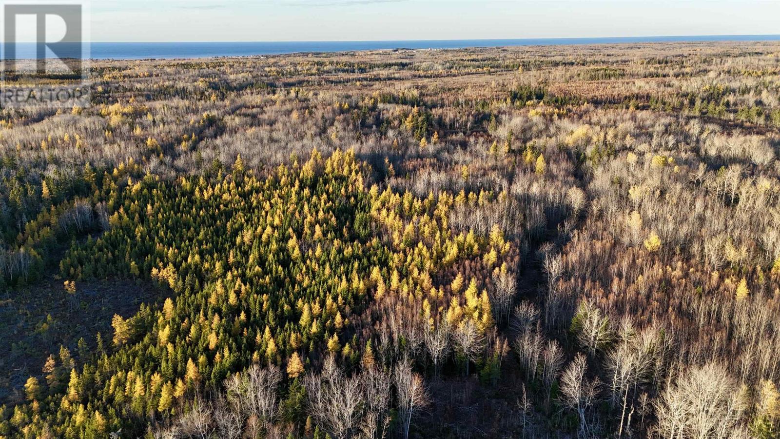 Deblois Road, Rte 157, Deblois, Prince Edward Island  C0B 2B0 - Photo 5 - 202527278