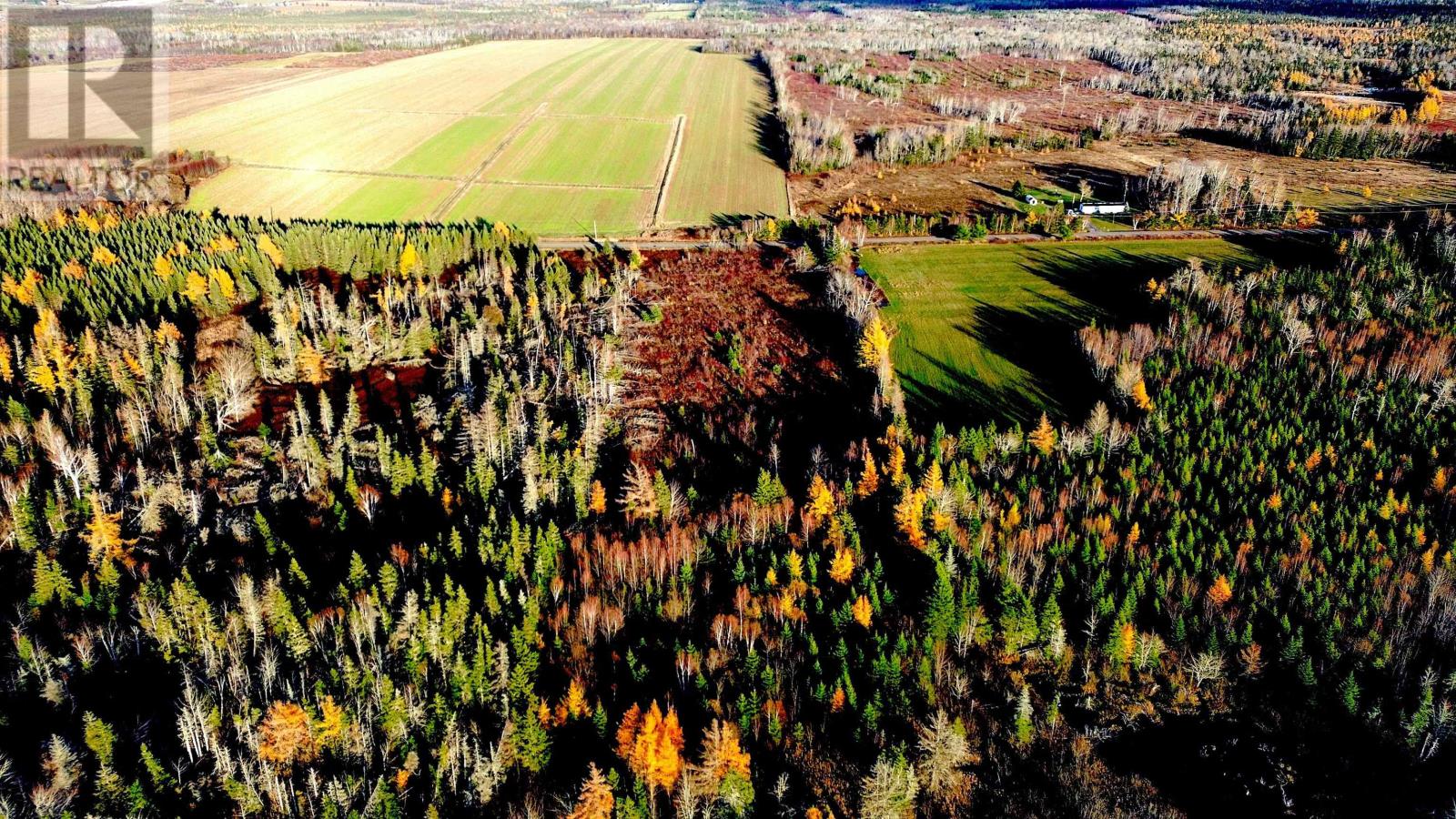 Albion Road, Route 327, Albion Cross, Prince Edward Island  C0A 2A0 - Photo 3 - 202528083