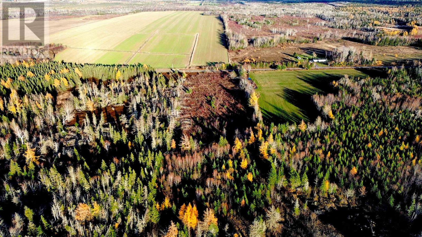 Albion Road, Route 327, Albion Cross, Prince Edward Island  C0A 2A0 - Photo 4 - 202528083