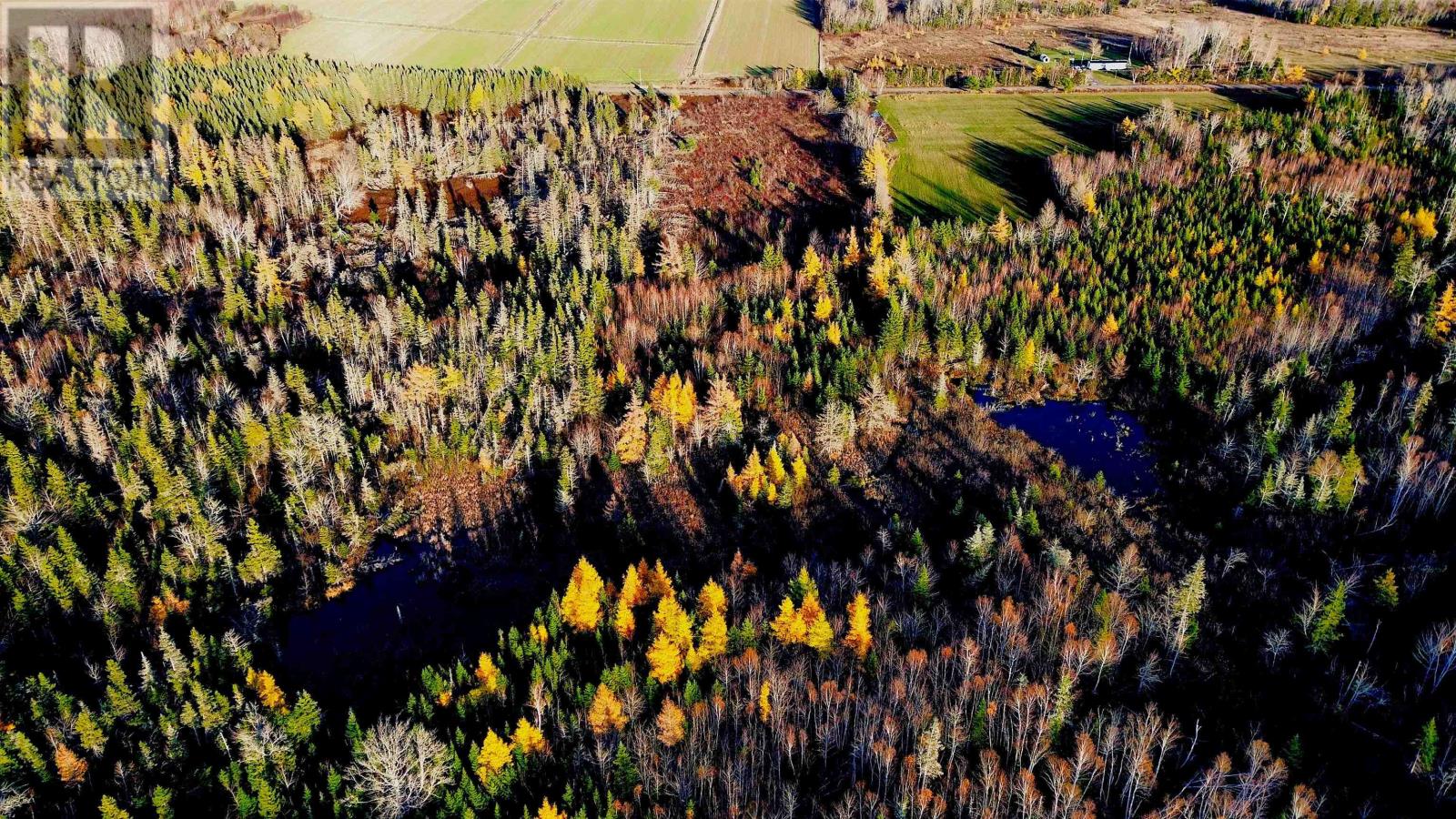 Albion Road, Route 327, Albion Cross, Prince Edward Island  C0A 2A0 - Photo 5 - 202528083